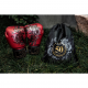 Găng tay đấm bốc mẫu BGV Premium Fairtex Golden Jubilee sản xuất tại Thái Lan