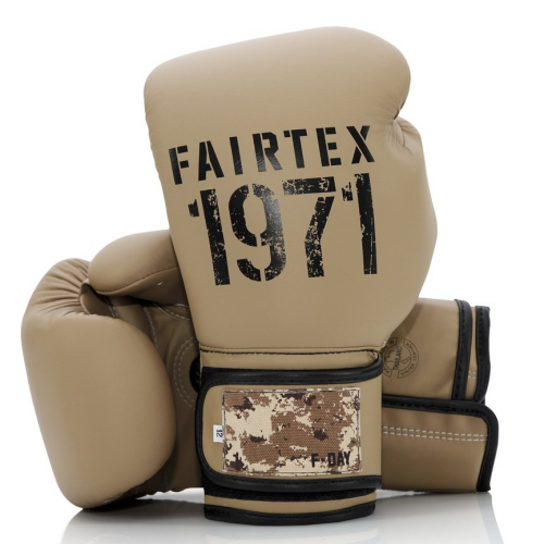 Găng tay đấm bốc BGV25 F DAY 2 phiên bản giới hạn [ó hộp FAIRTEX  chính hãng Thái Lan