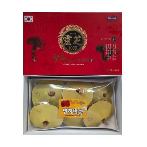 Nấm Linh Chi Vàng Hộp Đỏ 1Kg Hàn Quốc Nhập Khẩu - Sản phẩm dinh dưỡng cao cấp đến từ Hàn Quốc