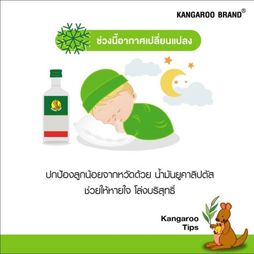 Dầu Khuynh Diệp Nguyên Chất Kangaroo Brand Thái Lan