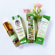 Dầu Lăn Thảo Dược 22 Vị Herbal Liquid Balm Yatim Brand Otop Thái Lan