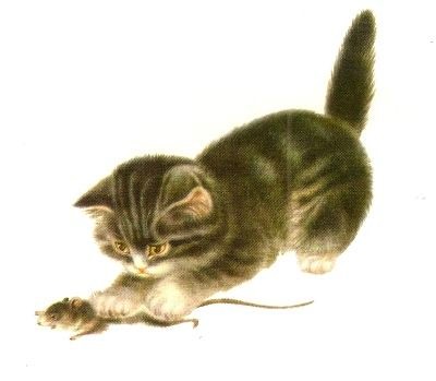 Đuổi chuột: Xem hình này để thấy cảnh tượng hài hước khi mèo đuổi theo một con chuột. Dù cho thử thách có khó khăn đến đâu, chú mèo này vẫn không bỏ cuộc trong sự cố gắng bắt được con mồi. Điểm nhấn của bức hình là sự nỗ lực của chú mèo để đạt được mục tiêu!