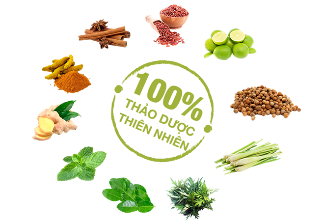 thao-duoc-thien-nhien.png