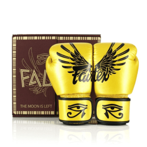 Găng tay đấm bốc đa năng mẫu BGV1 Falcon có hộp FAIRTEX chính hãng Thái Lan