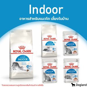 Royal Canin Indoor - Thức ăn cho mèo lớn nuôi trong nhà