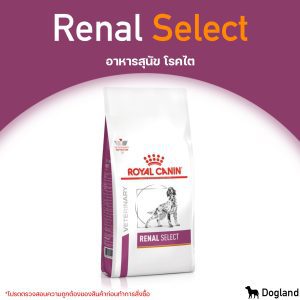 Royal Canin Renal Select - Thức ăn cho chó bị bệnh thận