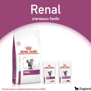 Royal Canin Renal thức ăn cho mèo bị bệnh thận