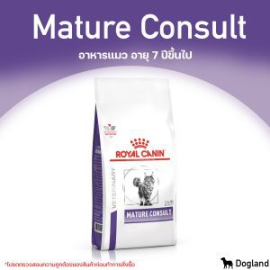 Royal Canin Mature Consult - Thức ăn cho mèo từ 7 tuổi trở lên.