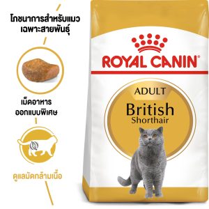Royal Canin British Shorthair thức ăn cho mèo giống British Shorthair