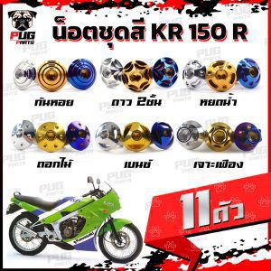 Bộ 11 ốc vít màu KR cho xe KR150R, ốc inox khung xe KR150R chuẩn