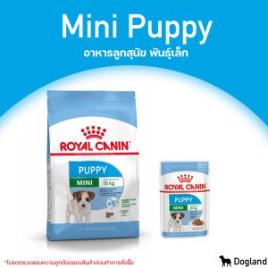 Royal Canin Mini Puppy Thức Ăn Cho Chó Con Nhỏ Phù Hợp Tăng Trưởng