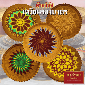 Chuyên đan đệm bát chắc chắn, tinh xảo, kích thước 9 inch, chỉ Venus-Summer